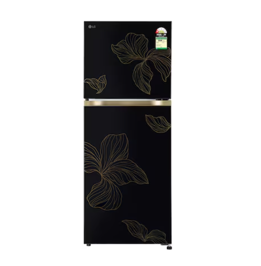 LG 225L Double Door Refrigerator