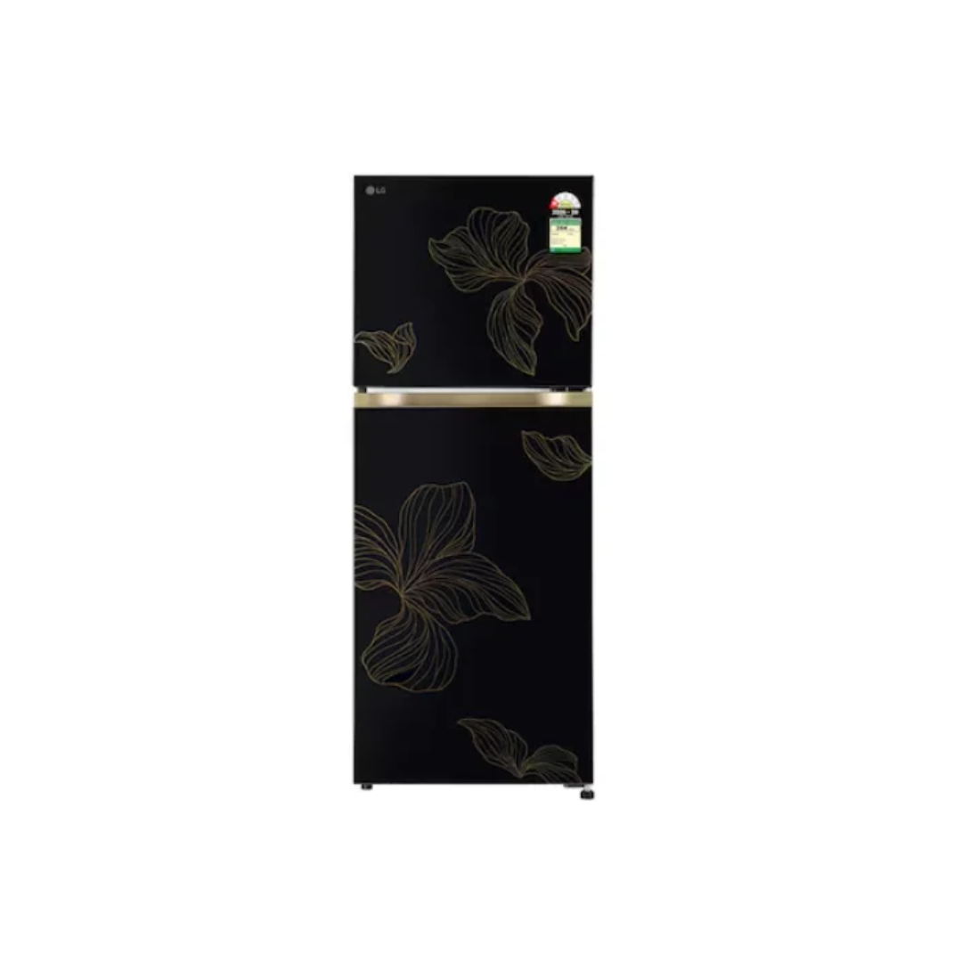 LG 225L Double Door Refrigerator